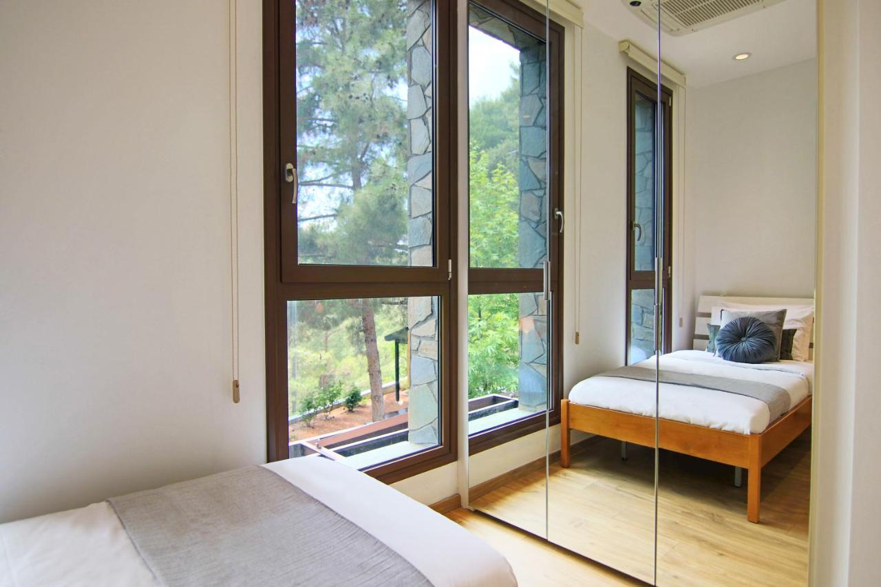 Phaedrus Living: Forest View Luxury Villa Chantara Foini Экстерьер фото